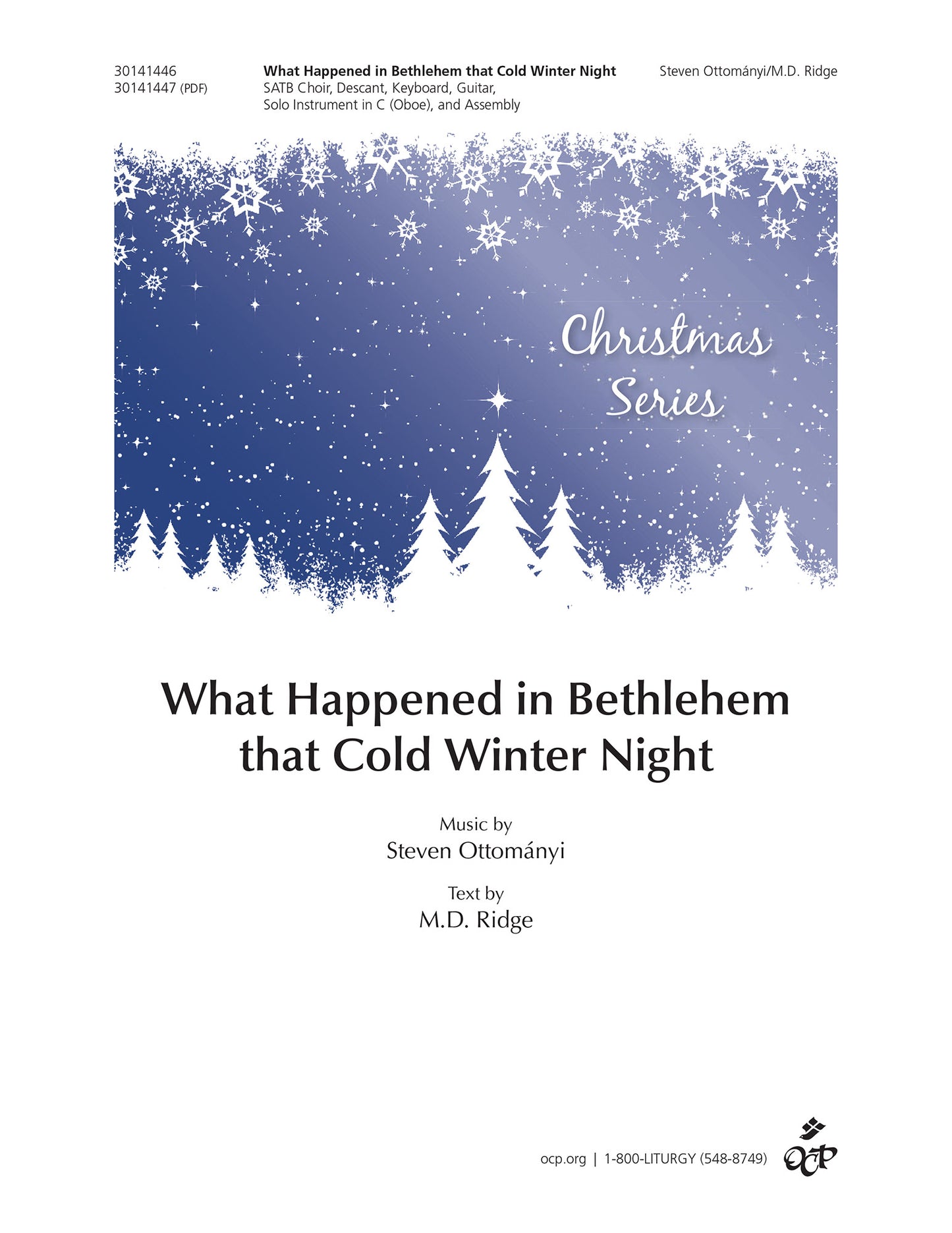 What Happened in Bethlehem that Cold Winter Night