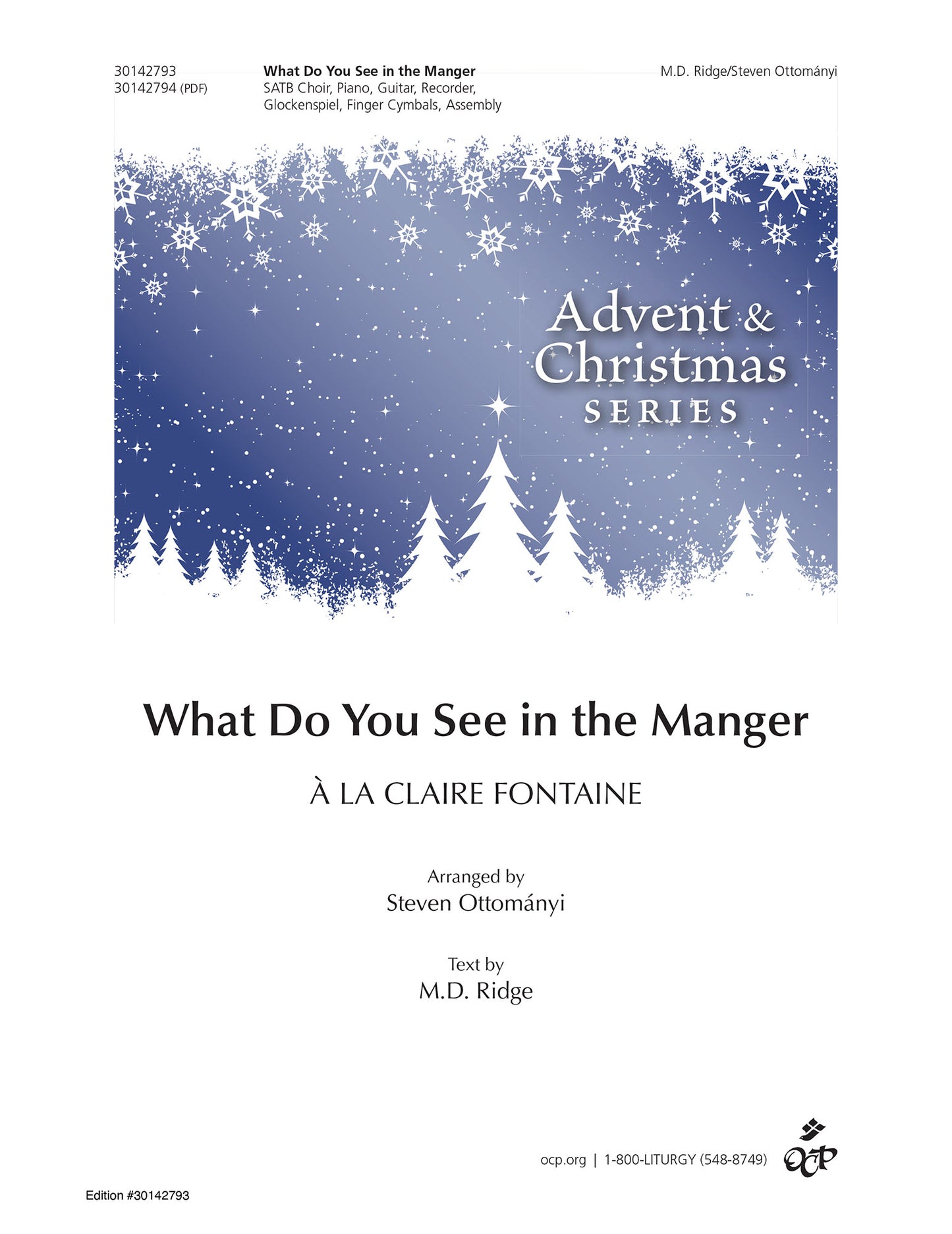 What Do You See in the Manger