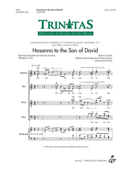 Hosanna to the Son of David