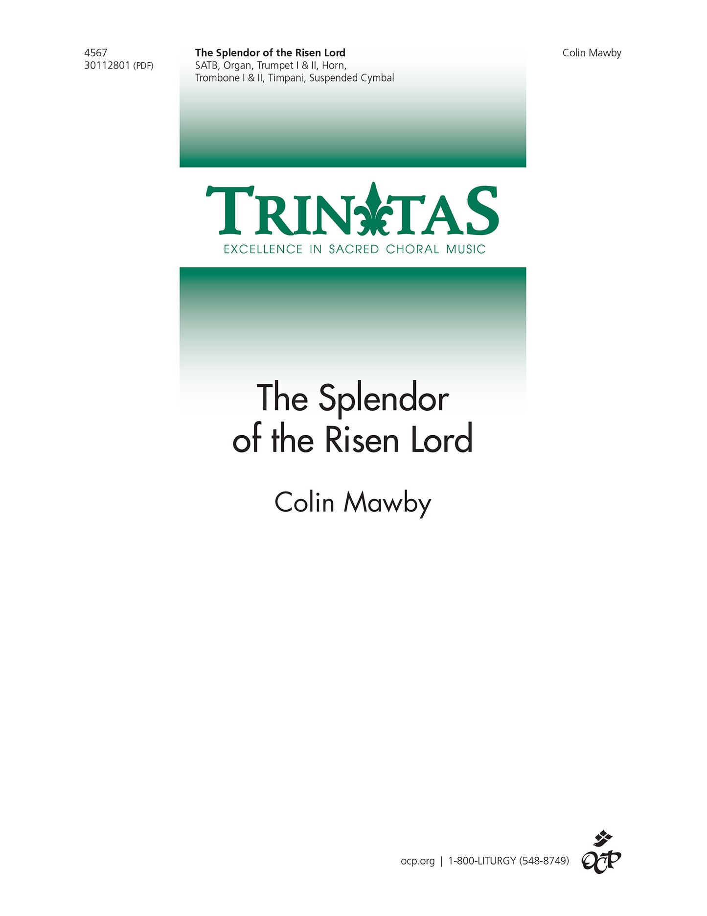 The Splendor of the Risen Lord