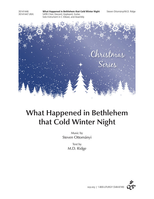 What Happened in Bethlehem that Cold Winter Night